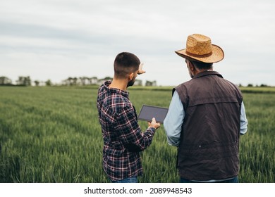 Farmers Talking Outdoor On Wheat Field