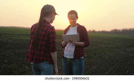 Farmers Teaming Up To Make A Business Plan In The Tablet In The Field, The Concept Of Rural Life, Agricultural Work On Fertilization With Organic Substances Of The Farm, Senior Agronomist