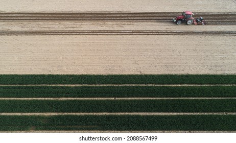 Farmers Use Planters To Plant Mulched Peanuts, Aerial Photos, North China