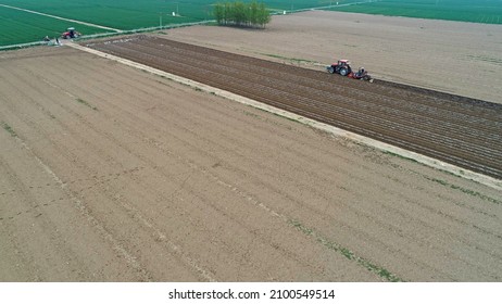 Farmers Use Planters To Plant Plastic Coated Peanuts On Farms, North China