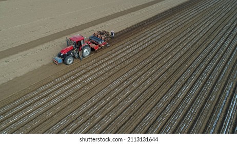 Farmers Use Planters To Plant Plastic Coated Peanuts On Farms, North China