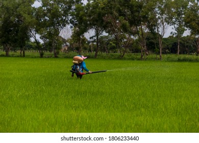 
Farmers are using chemical spray tools in rice fields - Shutterstock ID 1806233440