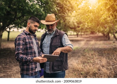 Landwirte, die digitale Tablette in Obstgarten verwenden