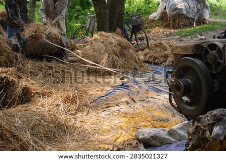 Farmers Using Threshing Machine to Process Harvested Crops