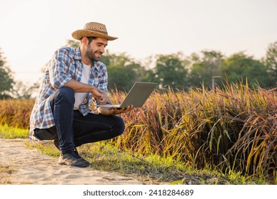 Farmers utilize data analytics, remote sensing, and monitoring tools to make informed decisions. This includes analyzing weather patterns, monitoring crop health, and predicting yield.