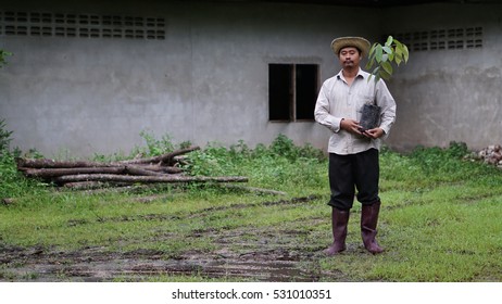 Farmers working in the fields