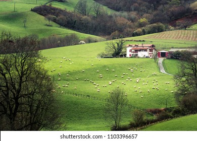 Farmhouse In The French Basque Country