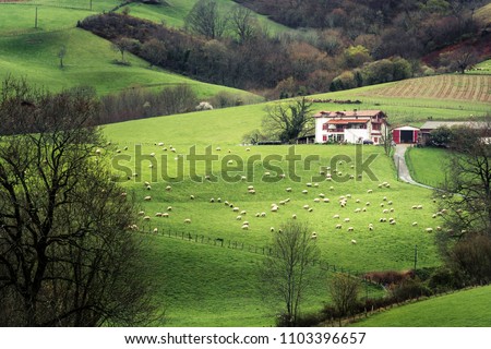 Farmhouse in the French Basque Country