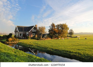 Farmhouse with sheep on a sunny day in the Netherlands. - Shutterstock ID 1226970154