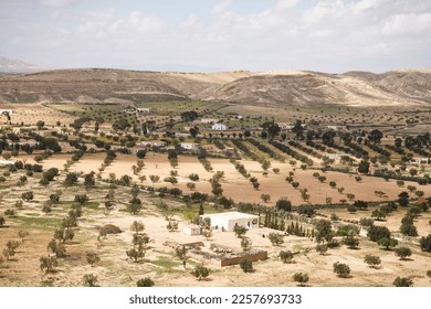 Farming in Africa. Desert or semi-arid landscape, farmland in arid climate, Tunisia, North Africa