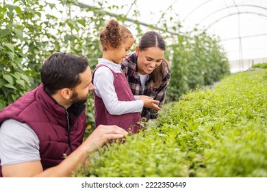 Farming, Agriculture And Family With Child And Parents Happy Together While Learning Growth Process Of Plants For Sustainability. Farmer Man, Woman And Girl In Greenhouse Garden On A Sustainable Farm