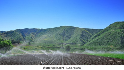 Farming, Auto irrigation system