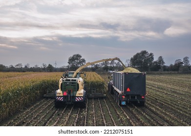 Farming: Combine Harvester In A Corn Field