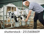 Farming, cows and man at fence with bucket for nutrition at sustainable small business in milk production. Growth, development and dairy farmer in pen with food, calf and feeding healthy barn animals