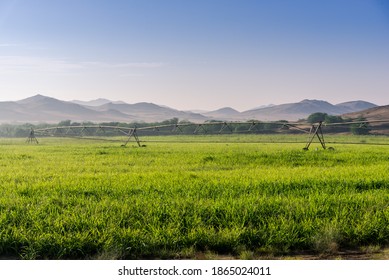 Farming in desert areas of Saudi Arabia