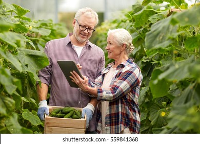 farming, gardening, agriculture, harvesting and people concept -happy senior couple with box of cucumbers and tablet pc computer at farm greenhouse - Powered by Shutterstock