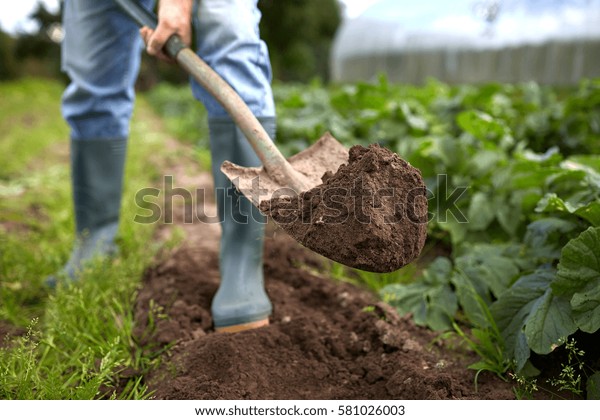 farming, gardening, agriculture and\
people concept - man with shovel digging garden bed or\
farm