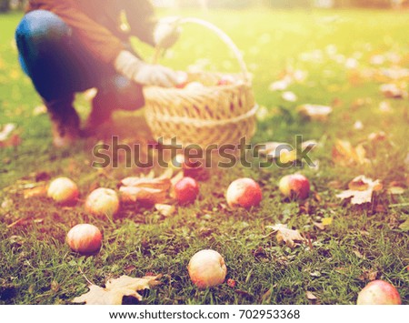 Similar – Image, Stock Photo autumn Gardening Gardener