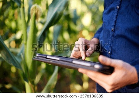 Farming, hands and man in field with tablet for research, growth and agro management. Nature, inspection and corn farmer on digital app for sustainable agriculture, quality control and permaculture