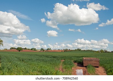 Farming Landscape In The Herefordshire Countryside Of England.