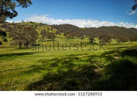 Farming paddocks after the rains in Wee Jasper in New South Wales, Australia                               