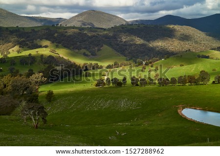 Farming paddocks after the rains in Wee Jasper in New South Wales, Australia                               