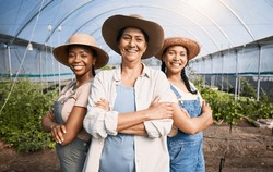 Farming, Portrait Of Group Of Women In Greenhouse And Sustainable Small Business In Agriculture. Happy Farmer Team At Vegetable Farm, Agro Career Growth And Diversity With Eco Friendly Organic Plants