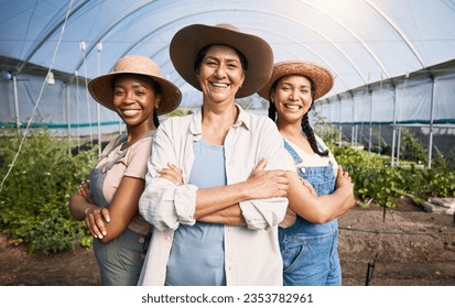 Farming, portrait of group of women in greenhouse and sustainable small business in agriculture. Happy farmer team at vegetable farm, agro career growth and diversity with eco friendly organic plants - Powered by Shutterstock