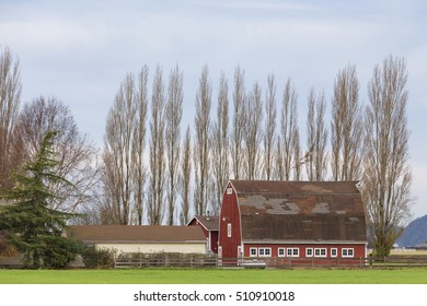 Farming In The Skagit Valley