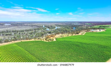 Farming In South Australia's Riverland