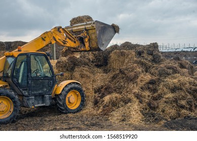 Farming In Ukraine, Harvesting, Storage Of Silage, Fodder For Livestock