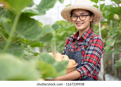 Farming Young Lady Smiling Happy With Butternut Squash Harvest In Farm