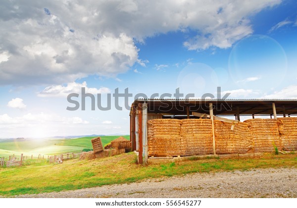 Farmland Cabin Straw Bale Hey Stack Stock Photo Edit Now 556545277