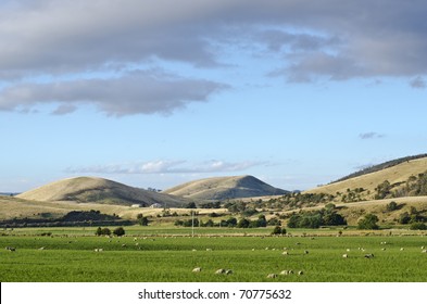 Farmland, Coal River Valley, Tasmania