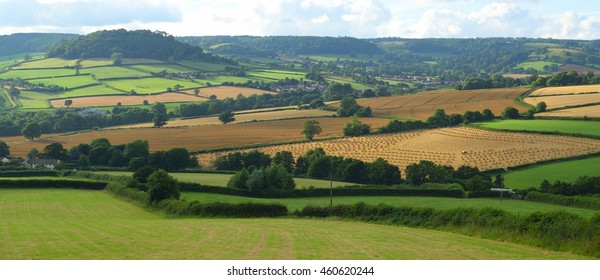 Farmland in East Devon AONB (Area of Outstanding Natural Beauty) - Shutterstock ID 460620244