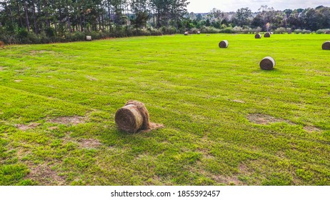 Farmland In The Florida Panhandle