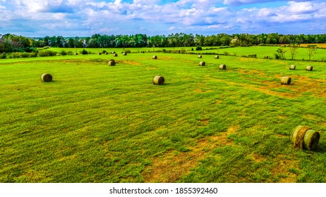 Farmland In The Florida Panhandle