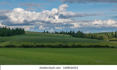 Farmland On The Palouse In Idaho
