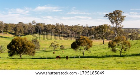 Farmland and paddocks near Maldon and Castlemaine on a clear sunny day in the Victorian goldfields, Australia