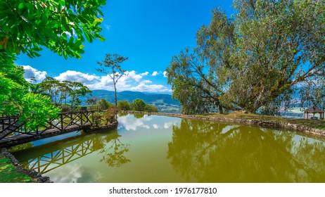 Farmland In Puerto Limon In Costa Rica