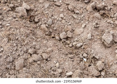 Farmland. Soil, Dry Ground Background. 