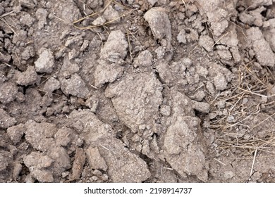 Farmland. Soil, Dry Ground Background. Defocused.