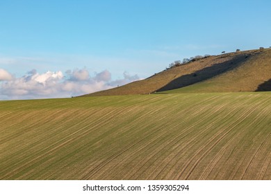 Farmland In Sussex On A Sunny Early Spring Evening