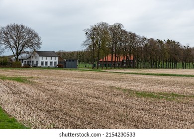  Farmland and trees at the Dutch countryside around Urmond, The Netherlands - Shutterstock ID 2154230533