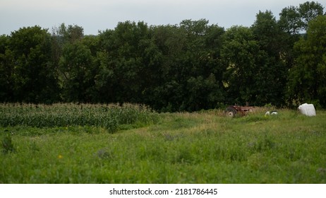 Farmland In The Upper Midwest