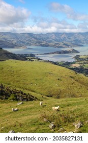 Farmland view in Akaroa - New Zealand. Located south east of Christchurch in the South Island of New Zealand