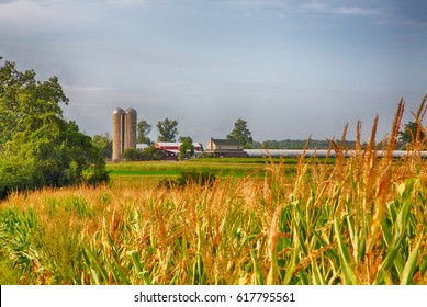 Farms In Amish Country Lancaster, Pennsylvania During The Harvest.