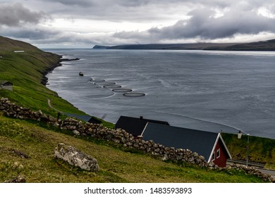 Faroe Island Bay With Round Fish Nets  For Salmon Farming