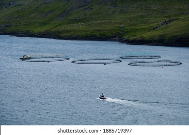 Vágar, The Faroe Islands - August 29 2019. Fishing Boats And A Fish Farm.