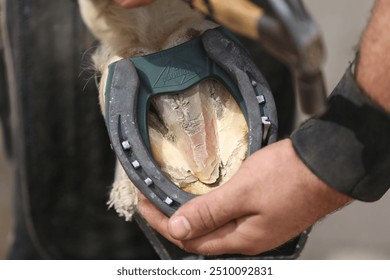 Farrier fits the horseshoe on the horse's hoof. Equestrian life outdoors at animal farm. Blacksmith on the ranch putting horse shoes on a horse - Powered by Shutterstock